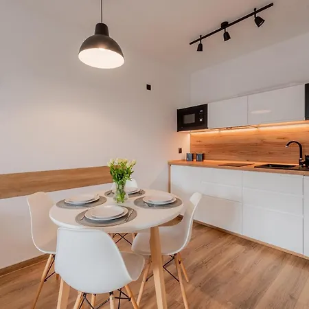 公寓 Wyspa Solna *